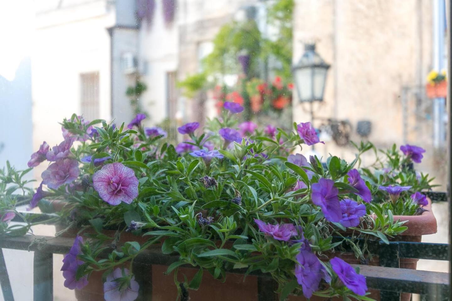 Caminanti Bed & Breakfast Лече Екстериор снимка